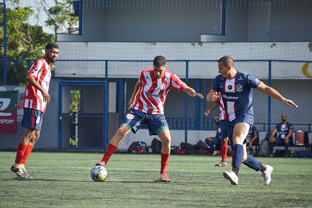 他们在关键 他们在关键