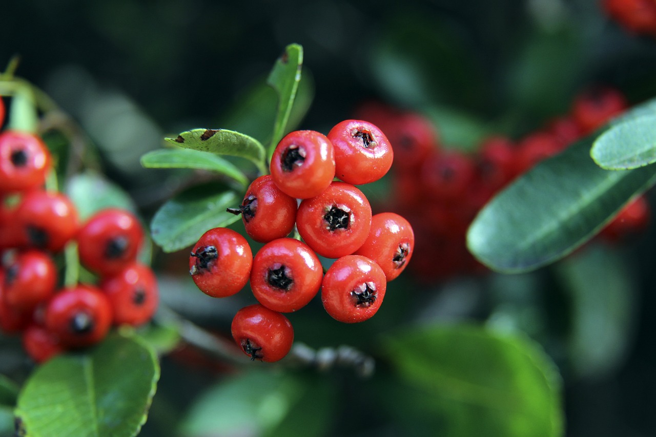 乔治回暖30分率队击败东部第一！三分8投全中，功亏一篑啊！.