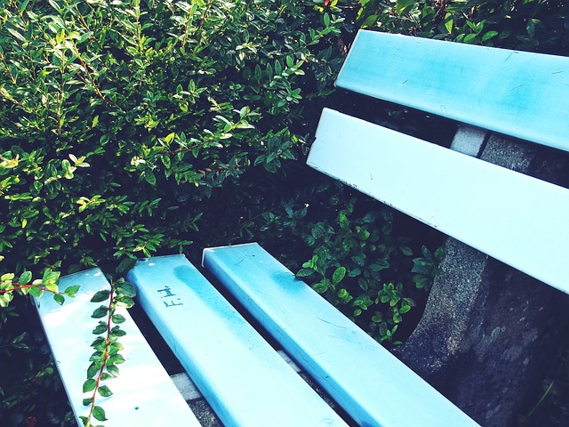 搶大谷和索托都失敗 為何藍鳥想要的通通得不到？.