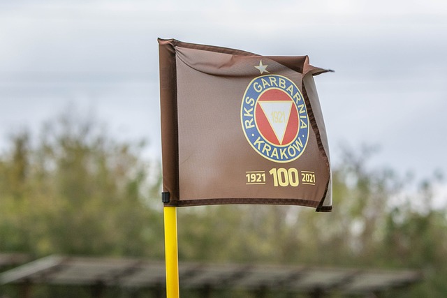 在总教练波 在总教练波