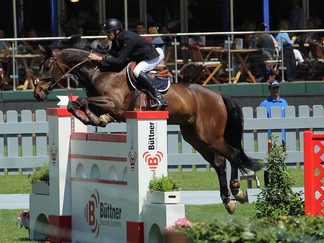 会针对性打 会针对性打