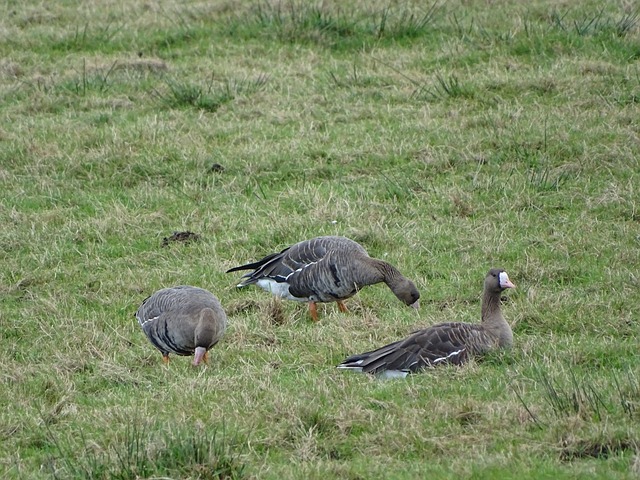 场球技的较 场球技的较